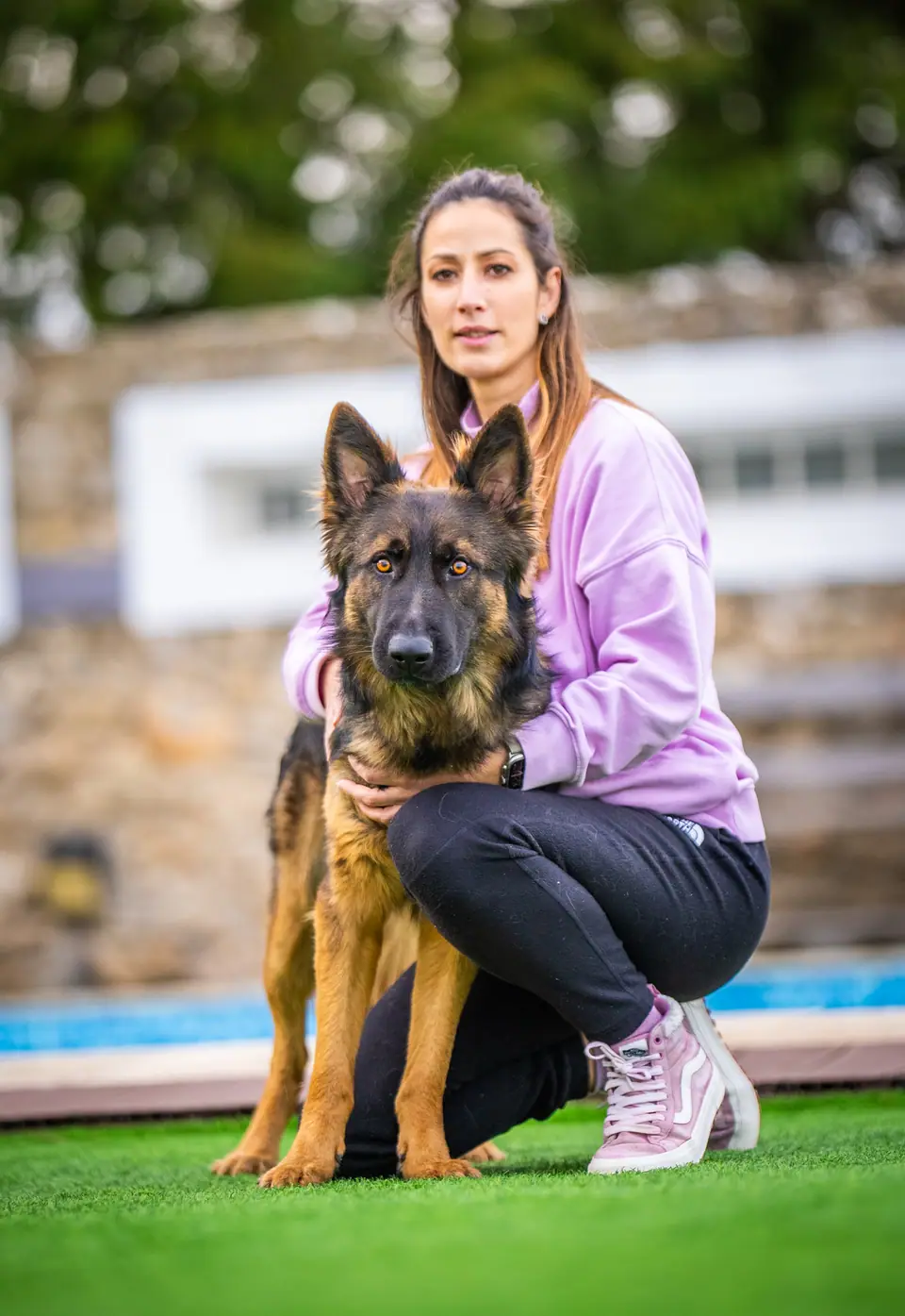 Protection Dogs for Sale