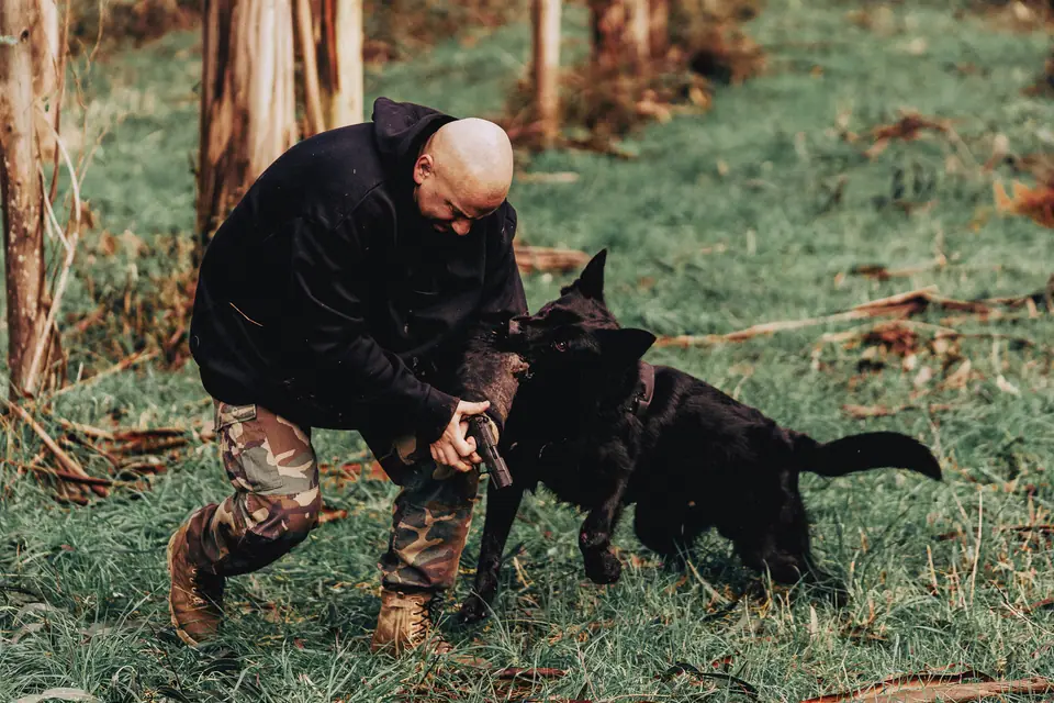 Rui Navarro training a protection dog