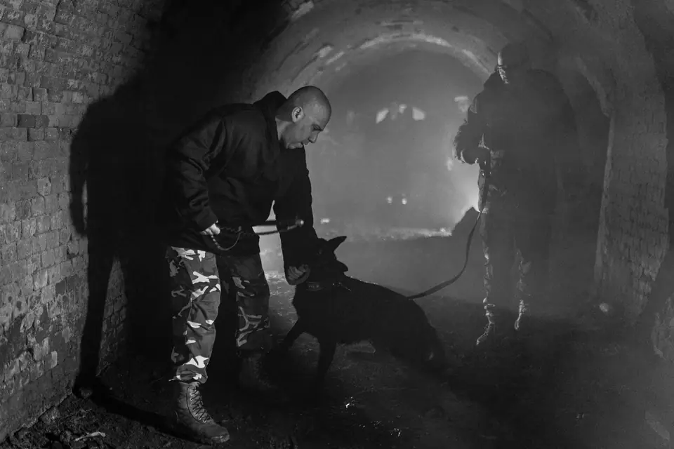 protection dog training real