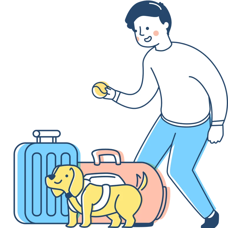 Dog Training Lisbon